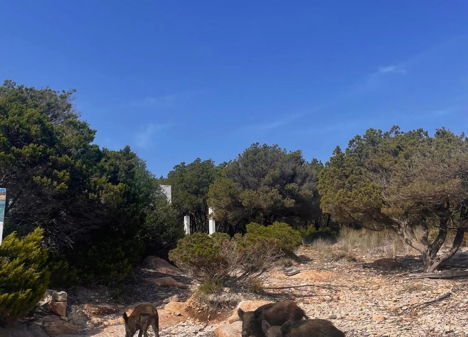 Casa Anita - Centro Storico Con Vista Mare Villa La Maddalena